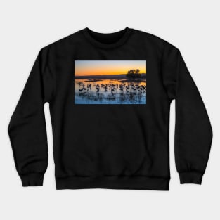 Glorious Sunset Crewneck Sweatshirt